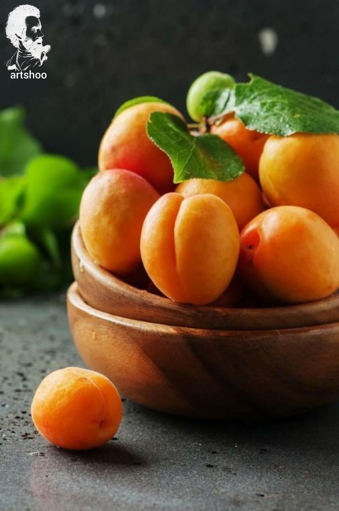 آموزش نقاشی رنگ روغن